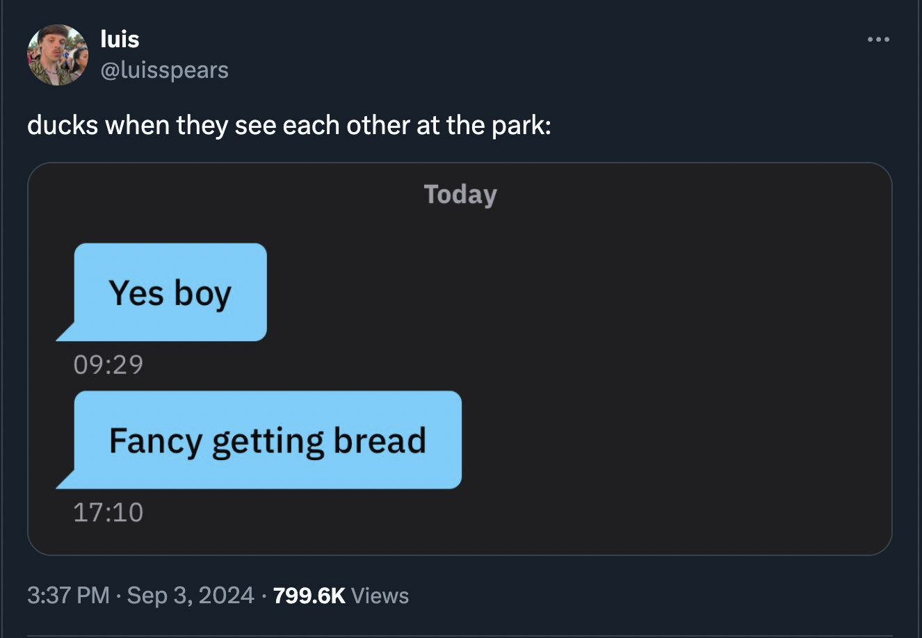 screenshot - luis ducks when they see each other at the park Yes boy Fancy getting bread Views Today